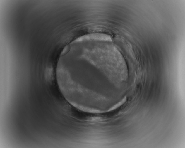 X0000093430224200711091441
