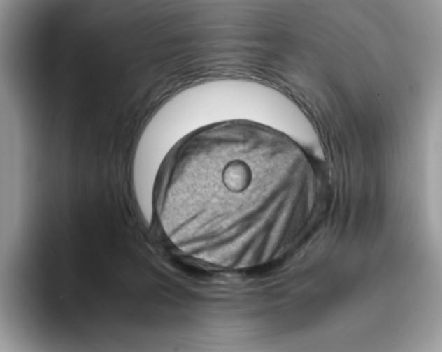 X0000093430227200711091441