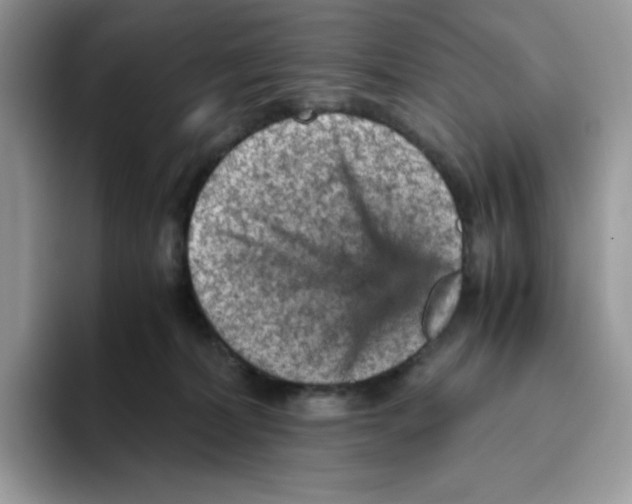 X0000093430228200711091441