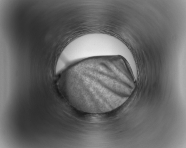 X0000093430229200711091441