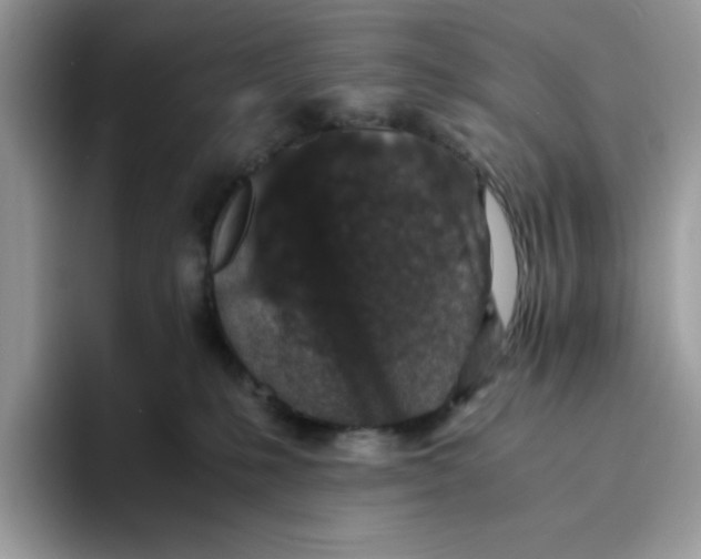 X0000093430231200711091441