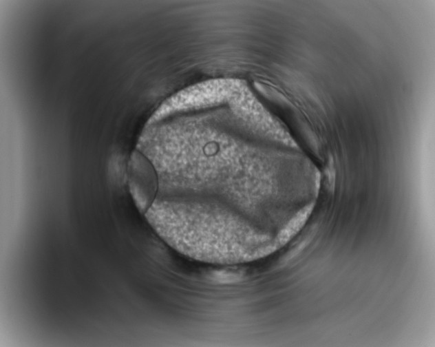 X0000093430232200711091441