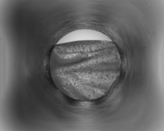 X0000093430233200711091441