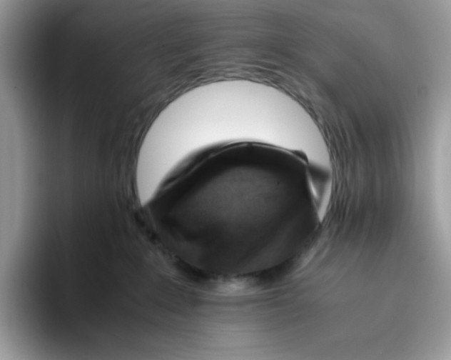X0000093430235200711091441
