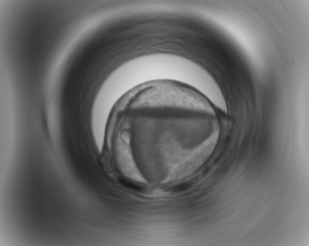 X0000093430239200711091441