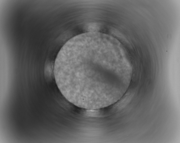 X0000093430240200711091441