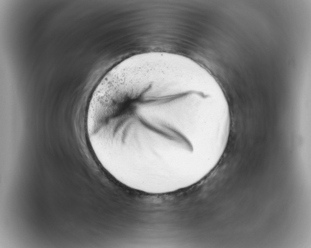 X0000093430241200711091441