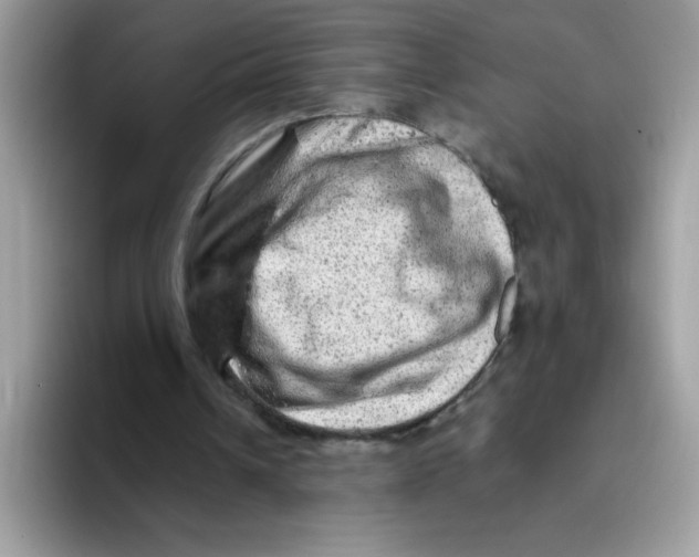 X0000093430242200711091441