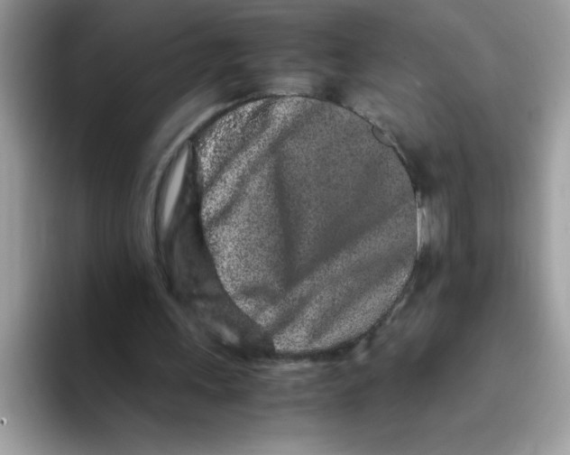 X0000093430243200711091441