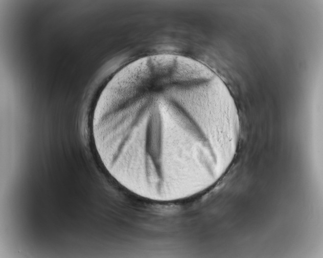 X0000093430245200711091441