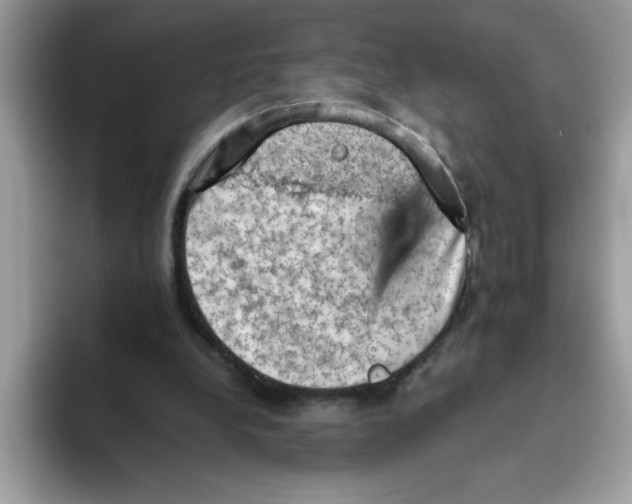 X0000093430248200711091441
