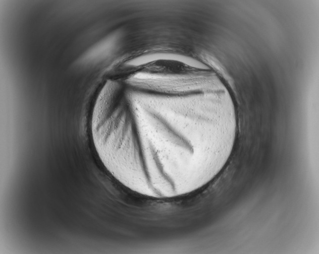 X0000093430249200711091441