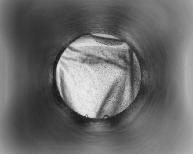 X0000093430259200711091441