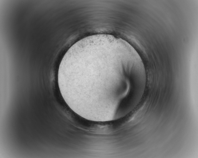 X0000093430260200711091441