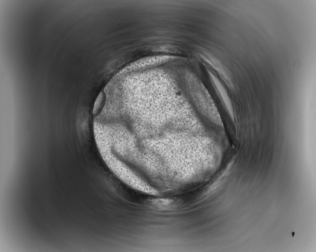 X0000093430265200711091441