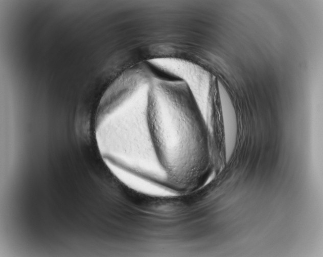 X0000093430267200711091441