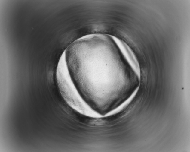 X0000093430269200711091441