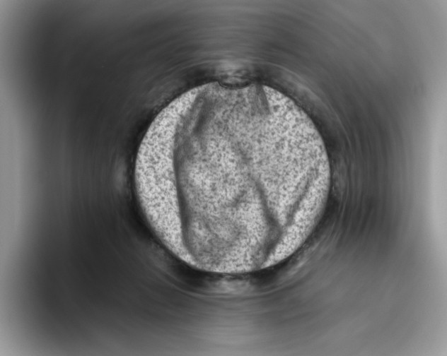 X0000093430270200711091441