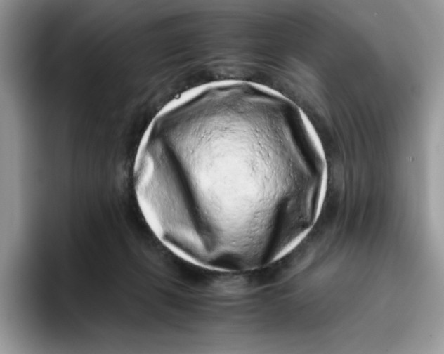 X0000093430271200711091441
