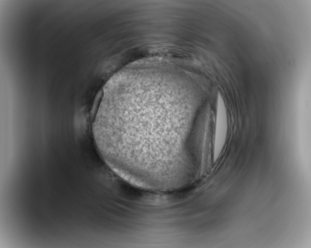 X0000093430276200711091441