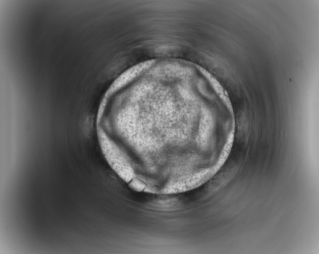 X0000093430278200711091441