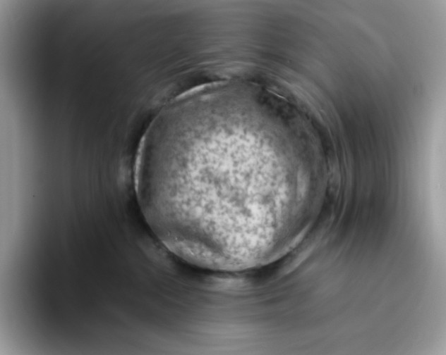 X0000093430284200711091441