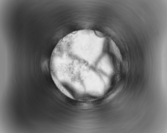 X0000093430286200711091441