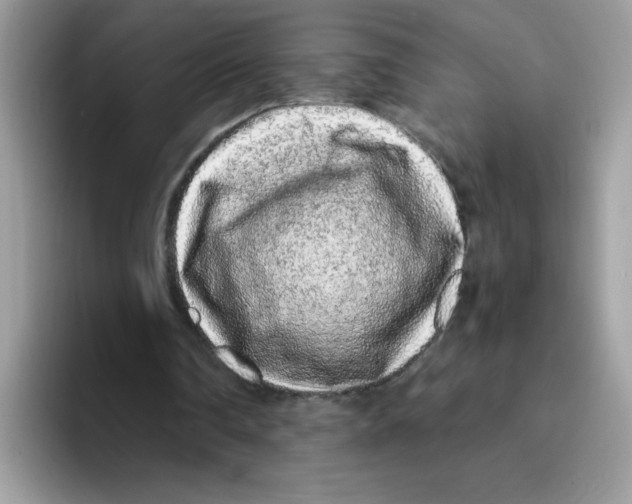 X0000093430290200711091441