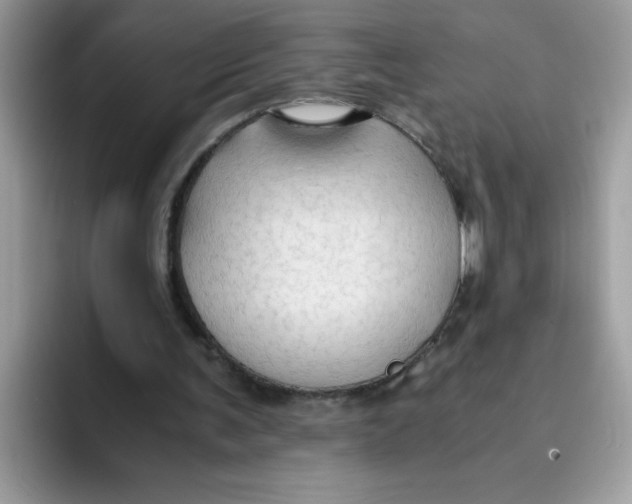 X0000093430291200711091440