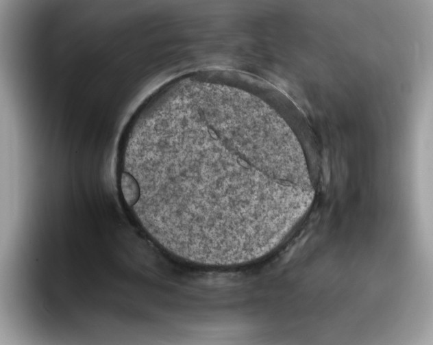 X0000093430292200711091440