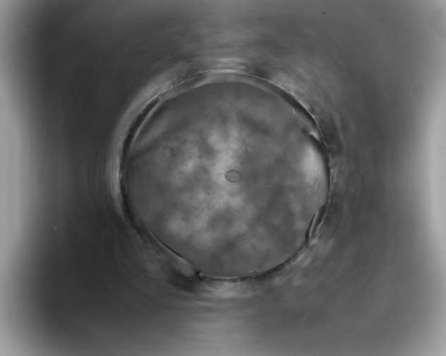 X0000093430293200711091440