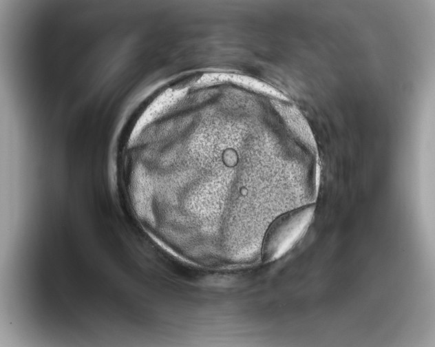 X0000093430294200711091440
