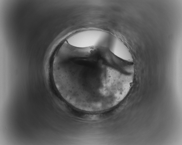 X0000093430295200711091440