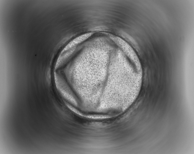 X0000093430298200711091440