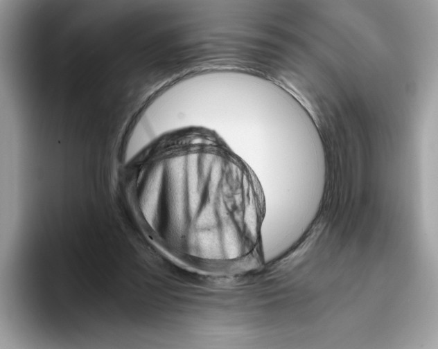X0000093430301200711091440