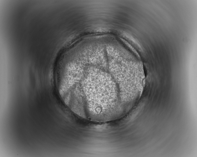 X0000093430306200711091440