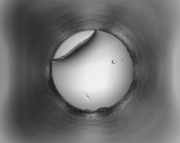 X0000093430309200711091440