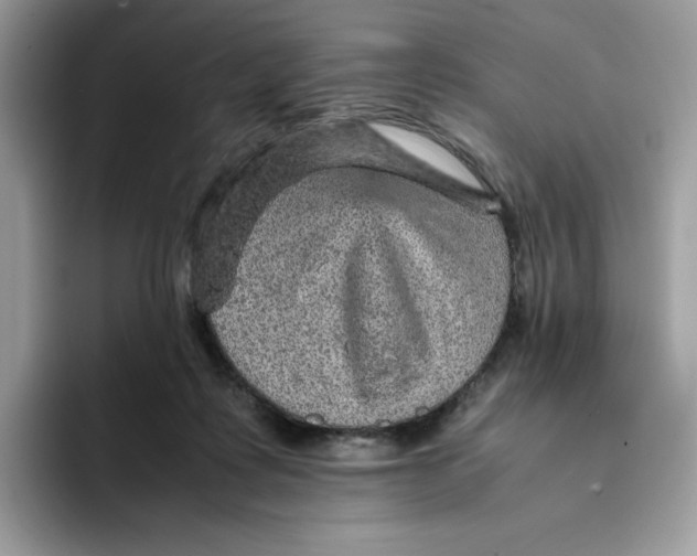 X0000093430315200711091440