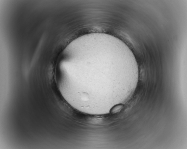 X0000093430318200711091440