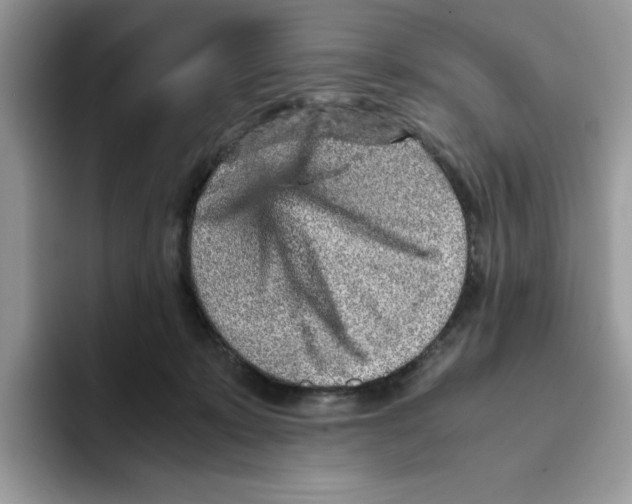 X0000093430319200711091440