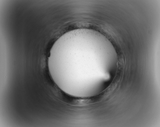 X0000093430323200711091440