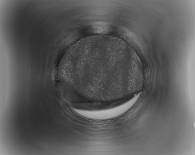X0000093430325200711091440