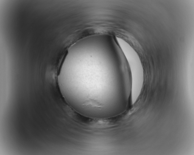 X0000093430329200711091440