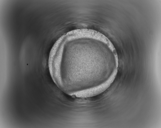X0000093430331200711091440