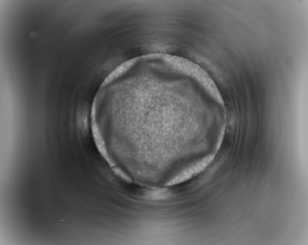 X0000093430334200711091440