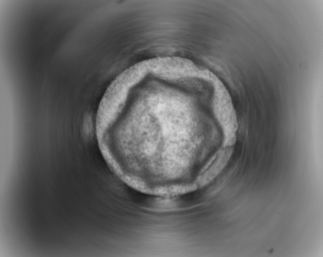 X0000093430335200711091440