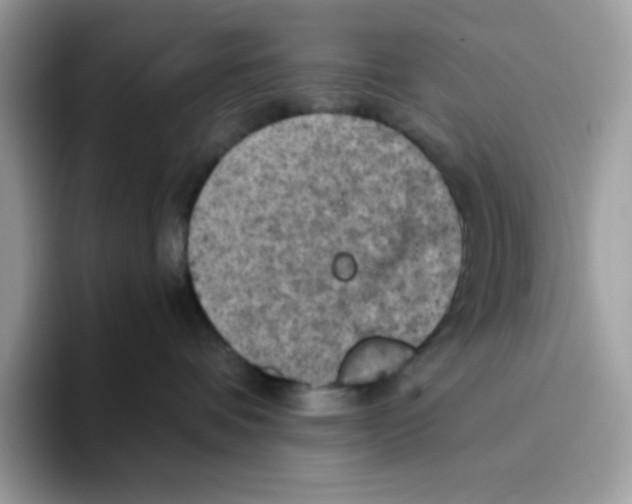 X0000093430336200711091440