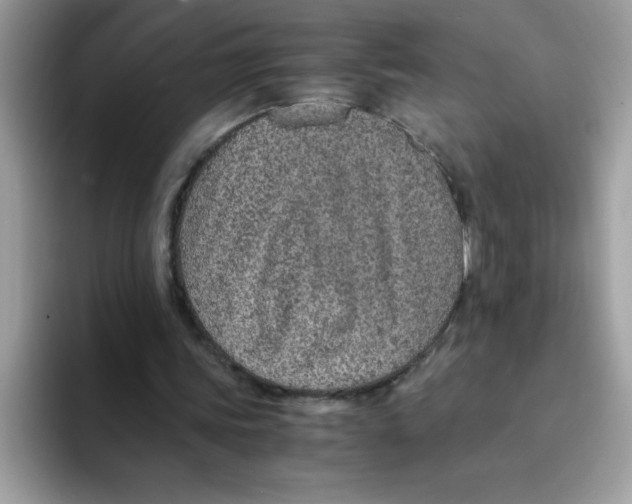 X0000093430339200711091439