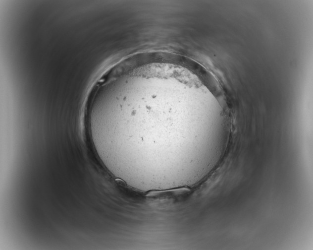 X0000093430340200711091439