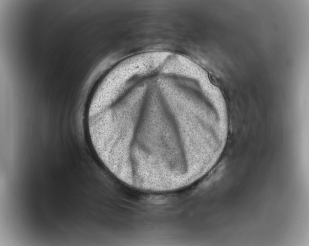 X0000093430341200711091439